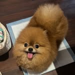 Sylvia Chua - @sylviaaangel2 - Instagram