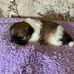 Sylvia Clement - Facebook