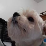 Sylvia Cobb - @sylviac1023 - Instagram