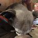 Sylvia Cobb - Facebook