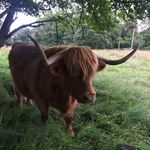 Sylvia - @sylvia_cobblers - Instagram