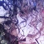 Sylvia Colbert - @scolbert2013 - Instagram