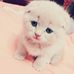Silvia Concepcion - Facebook
