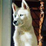 Sylvia Paula Concepcion - @sylviapaulaconcepcion - Instagram