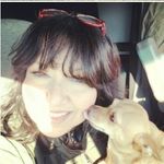 Sylvia Conner - @shibi86 - Instagram