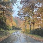 Sylvia Conner - @sdconner74 - Instagram