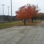 Sylvia Copeland - @sylv.ia4636 - Instagram