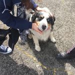 Sylvia Cornish - @twinsiste2 - Instagram