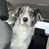 Sylvia - @sylvia.cornish - TikTok