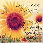 Sylvia Costilla - @sylviacostilla - Instagram