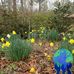 Sylvia Cottingham - Facebook