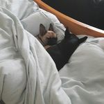 Sylvia Coyle - @coylesylvia - Instagram