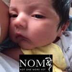 Sylvia Crespo - @sylviacrespo - Instagram