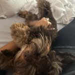 Sylvia Crespo-Tabak - @crespotabak - Instagram