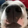 Sylvia R. Dávila - @sylviapdavila - TikTok