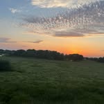 Sylvia Dennis - @sylviadennis63 - Instagram
