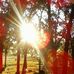 Sylvia Dobbins - Facebook