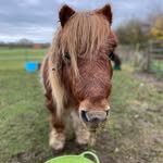 Sylvia Drew - @sylvia.drew.73 - Instagram