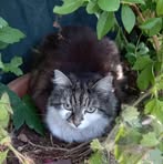 Sylvia Drew - Facebook