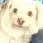 Sylvia Duenes Younger - @sylvia.duenes.you - TikTok