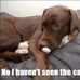 Sylvia Enfield - Facebook