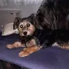 Sylvia Eismann - @sylvia.eismann - TikTok
