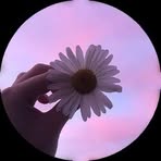 Sylvia Elizabeth - Facebook