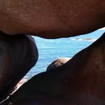 Sylvia Faust - @sylvia.faust.77 - Instagram