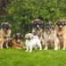 Sylvia Flint - Facebook