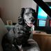 Sylvia Friend - Facebook