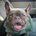 Sylvia Gaines - Facebook