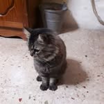 Sylvia Galea - @sylvia.galea.7370 - Instagram