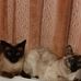 Sylvia Geiger - Facebook