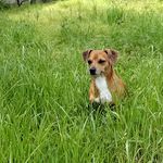 Sylvia C Gilliam - @sylviacgilliam - Instagram