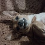 Sylvia Gilliam - @9184_sylvia - Instagram