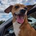 Sylvia Gilliam - Facebook