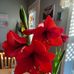 Sylvia Good - Facebook