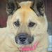 Sylvia McCaffrey Goodson - Facebook