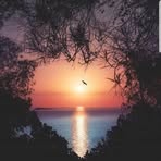 Sylvia Grabner - Facebook