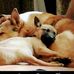 Sylvia Griggs - Facebook