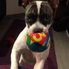 Sylvia Hahn539 - @frida08154711 - TikTok
