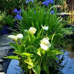 Sylvia Hancock - @sylviahancock352 - Instagram