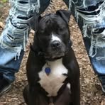 Sylvia Handy - Facebook
