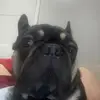 Sylvia Harding - @sylvia.harding0 - TikTok
