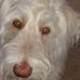 Sylvia Harding - Facebook