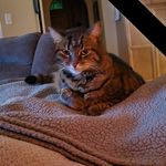 Sylvia Harmon - @ibcamper64 - Instagram