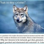 Sylvia Harmon - Facebook