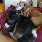 Sylvia Harper Longhurst - @harperlonghurst - Instagram