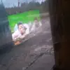 sylviaharper8 - @kyra3682 - TikTok