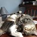 Sylvia Hemphill - Facebook